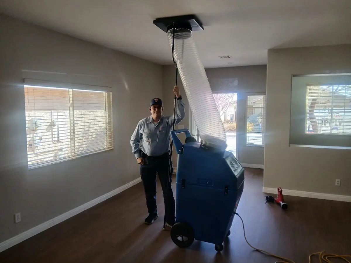Professional Dryer Vent Cleaning work inside a Hinsdale home
